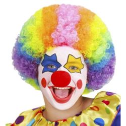 Detailansicht des Artikels: 74590 - PERÜCKE CLOWN in Beutel